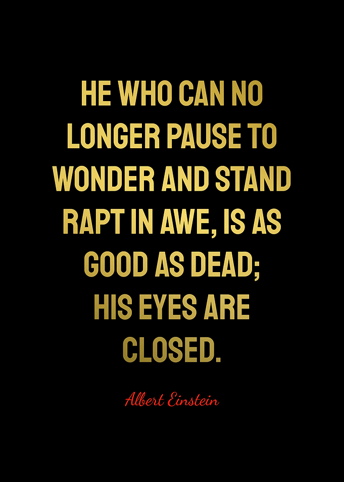 Albert Einstein Quotes