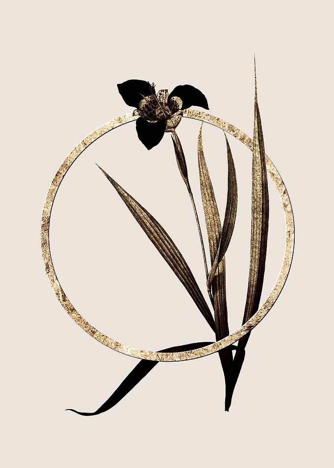 Gold Tiger Flower