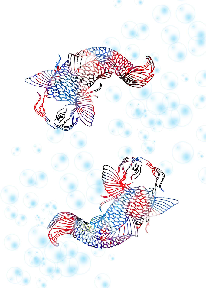 Koi fish
