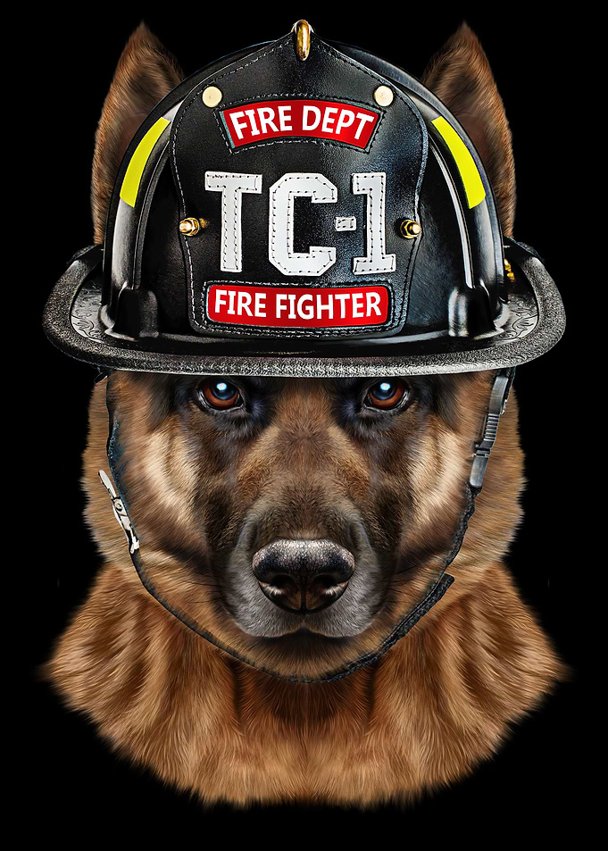 German Shepherd Fireman