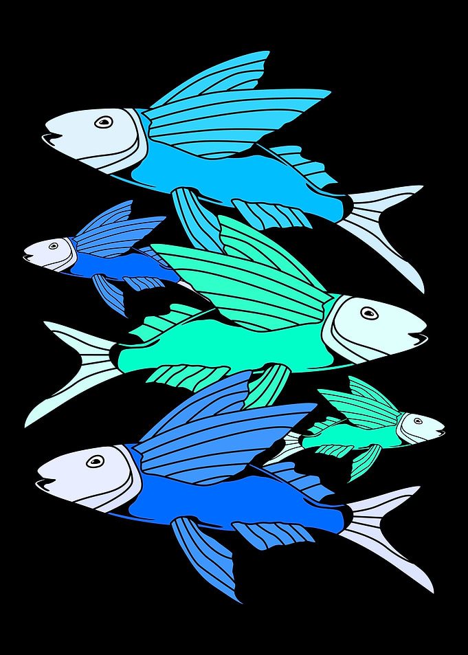 Fishing Fishes
