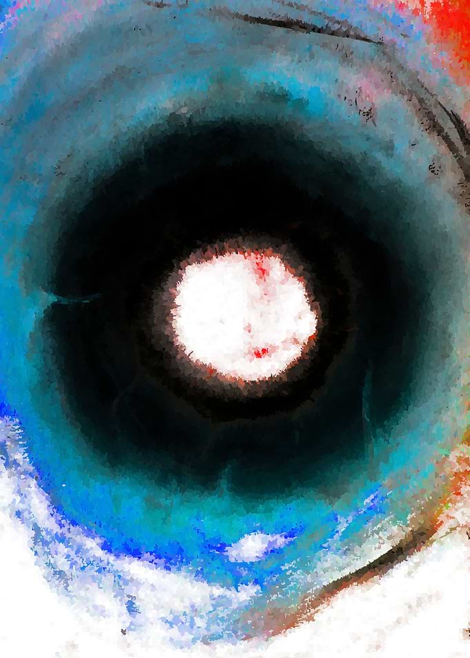 Interstellar Cosmic Void