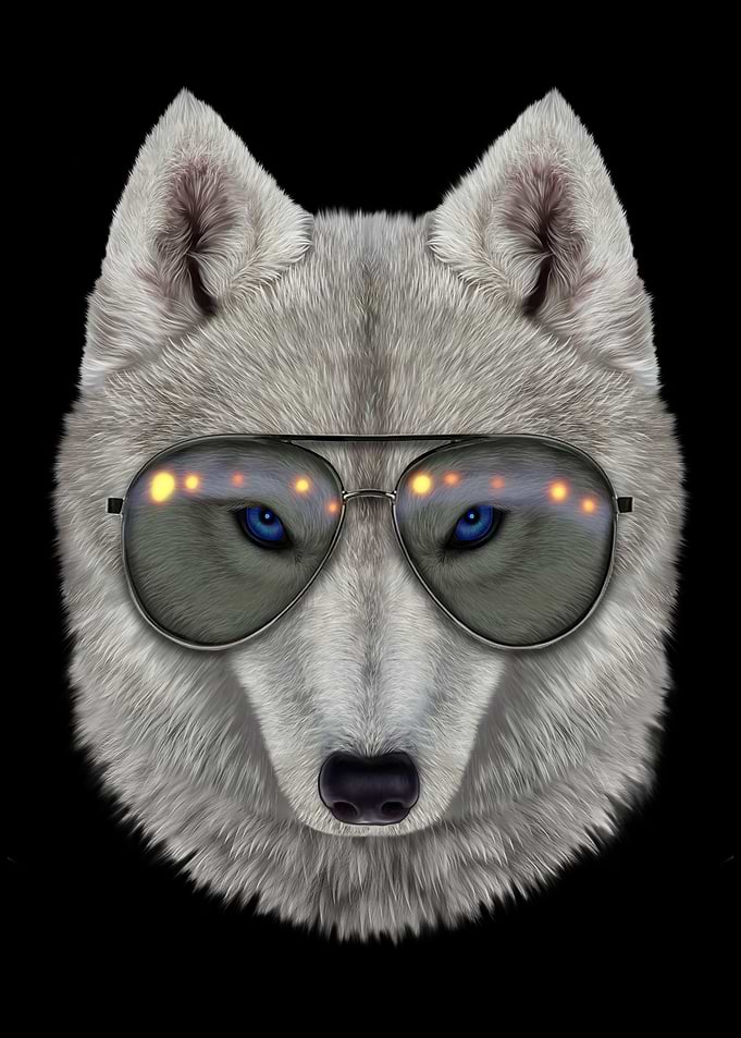 Polar Wolf in Aviator