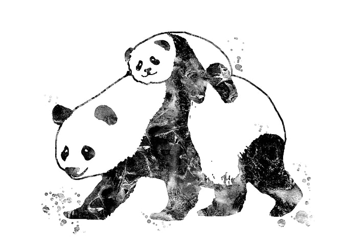Panda with baby panda