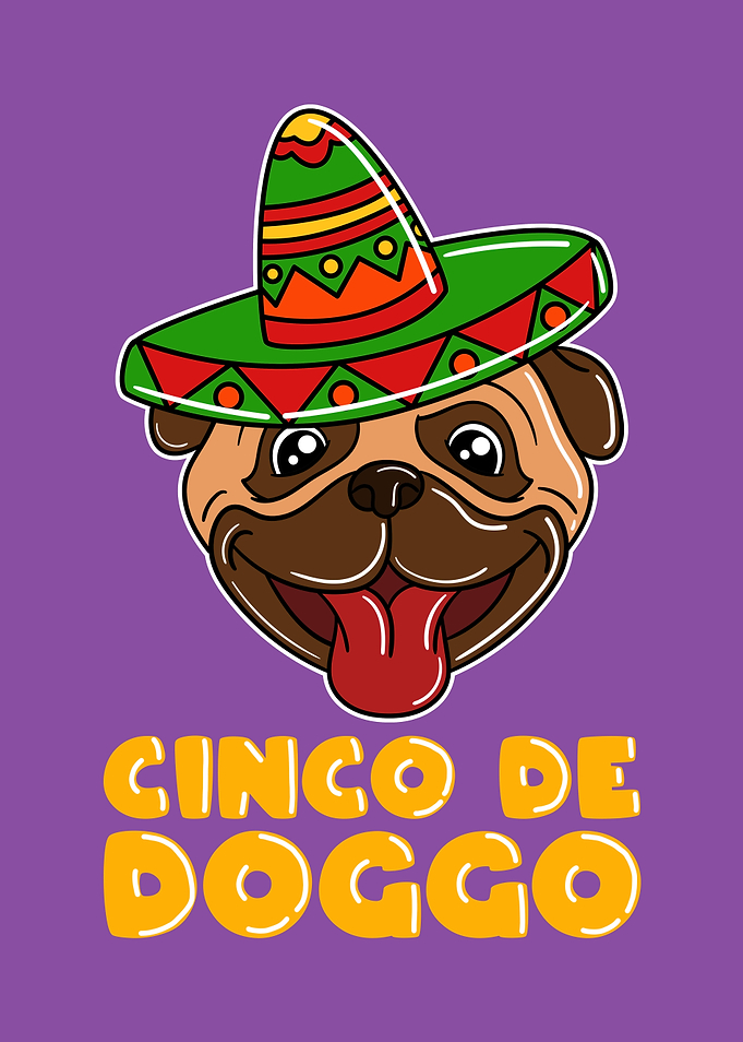 Cinco De Mayo Funny Dog