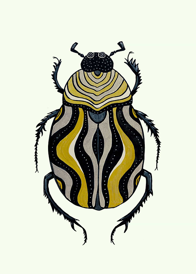 Cool Striped Beetle