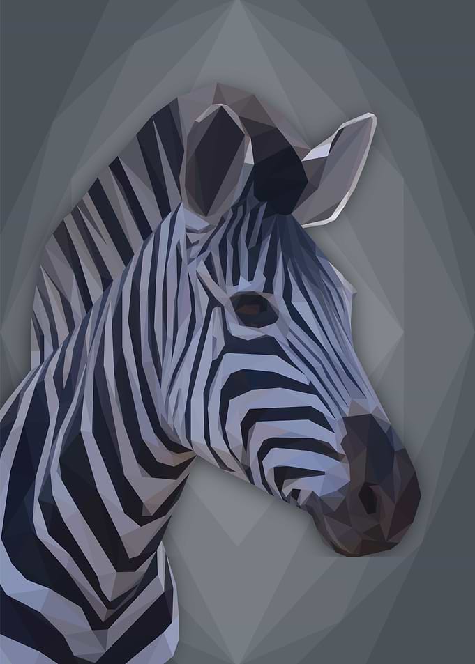 Geometric Zebra