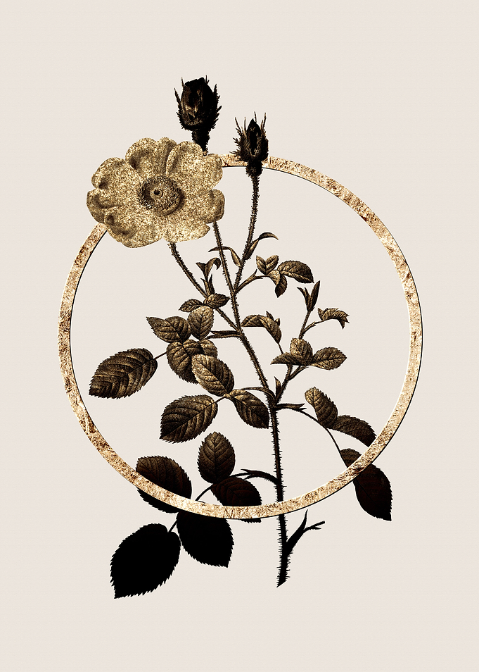 Gold Sparkling Rose Flower