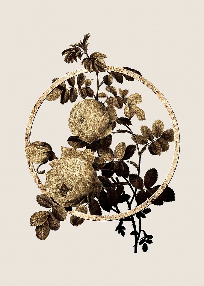 Gold Vintage Sulphur Rose