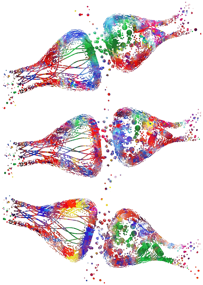 Synapse receptor