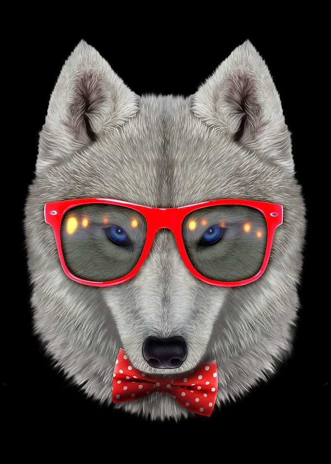 Chic Polar Wolf
