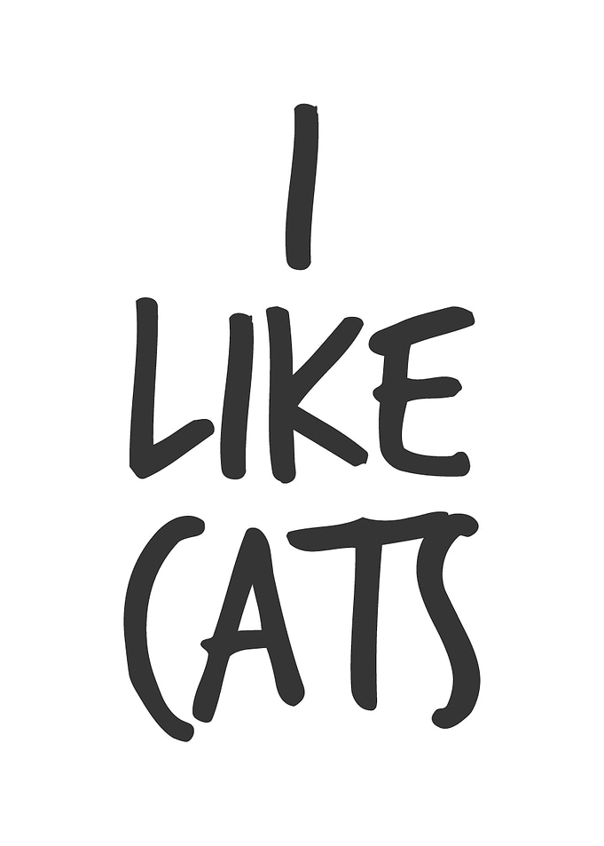 I Like Cats