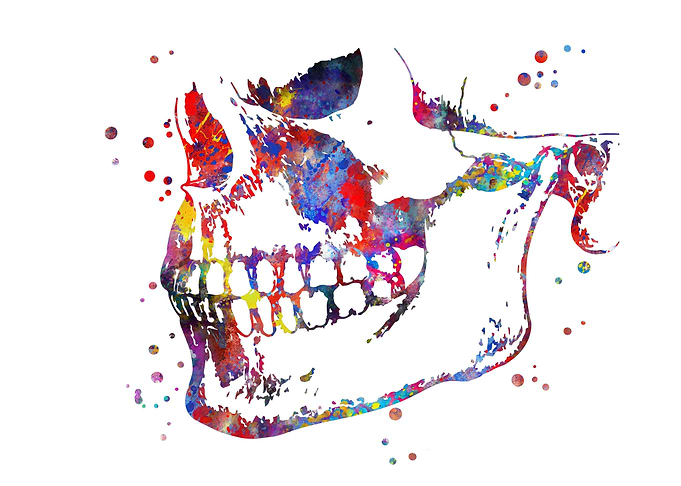 Human mandible