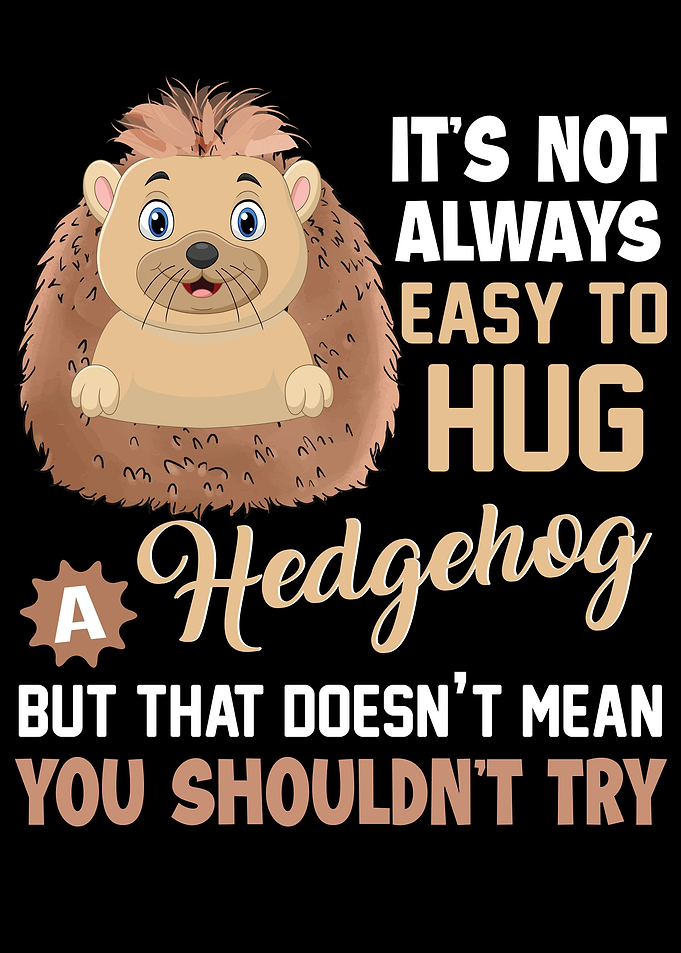 Not Easy To Hug A Hedgehog