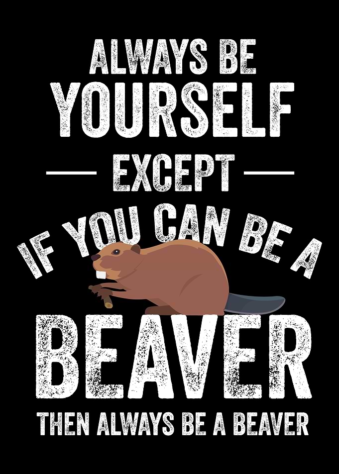 Be a Beaver Beaver Animal