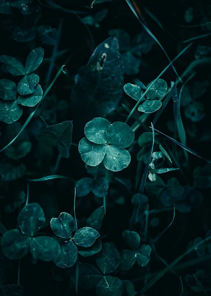 Lucky