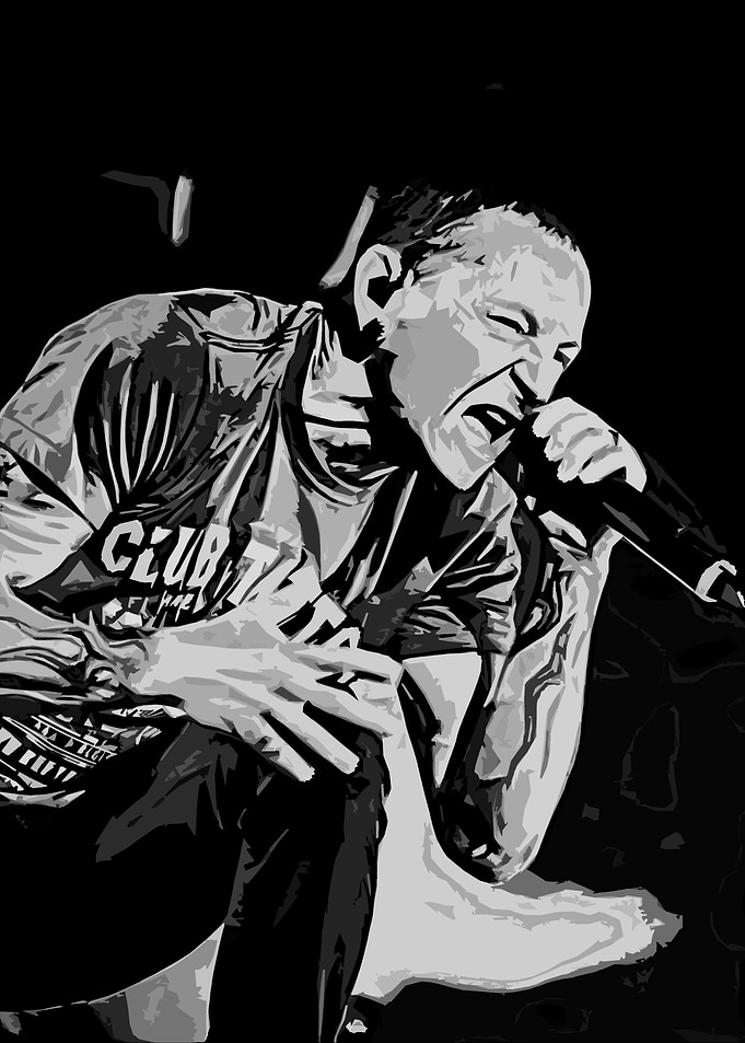 Linkin Park 330