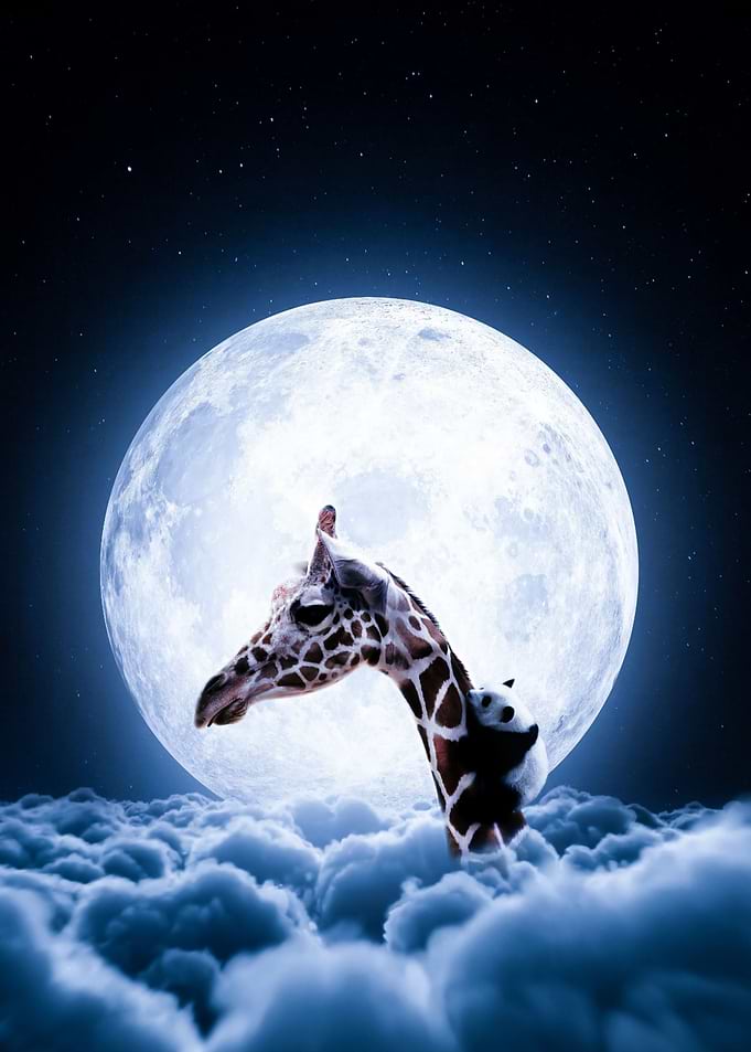 Giraffe and baby panda