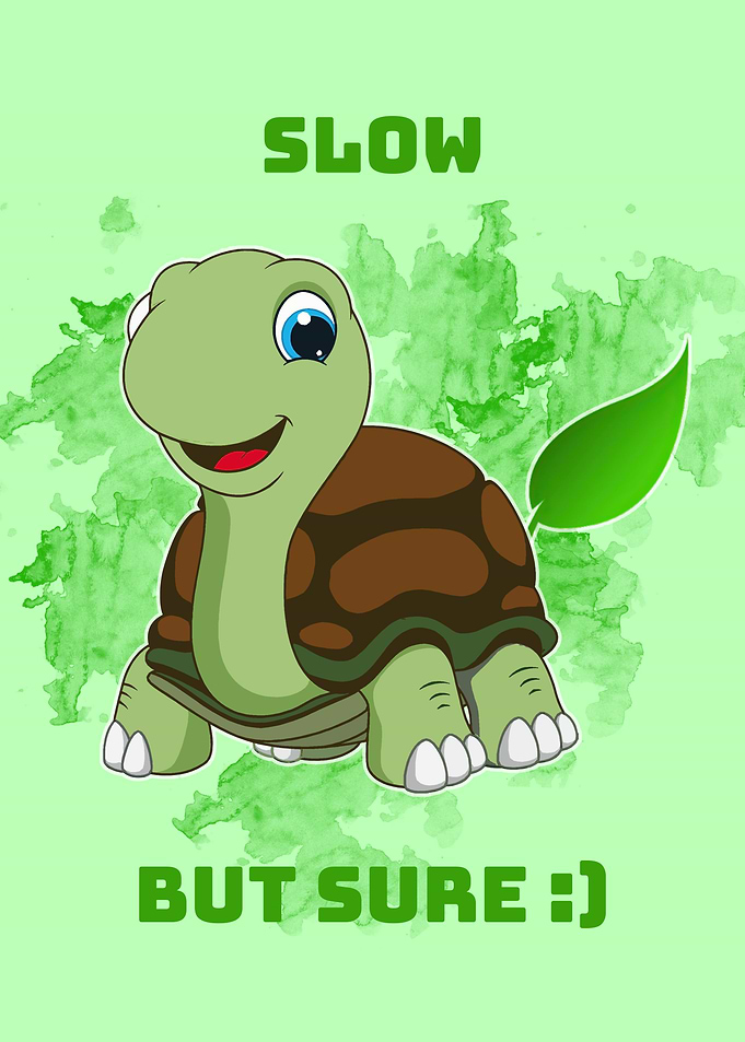 Turtle