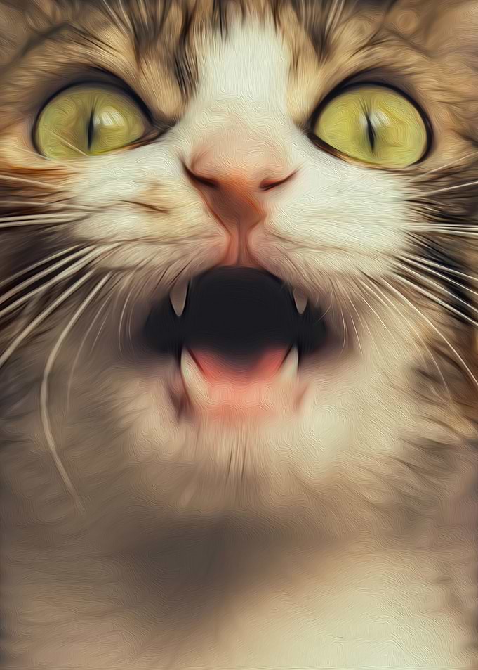 Meowzer
