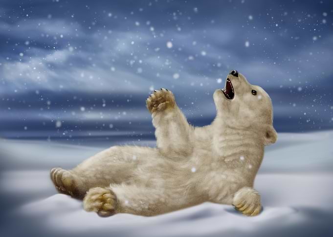 Polar bear cub playing