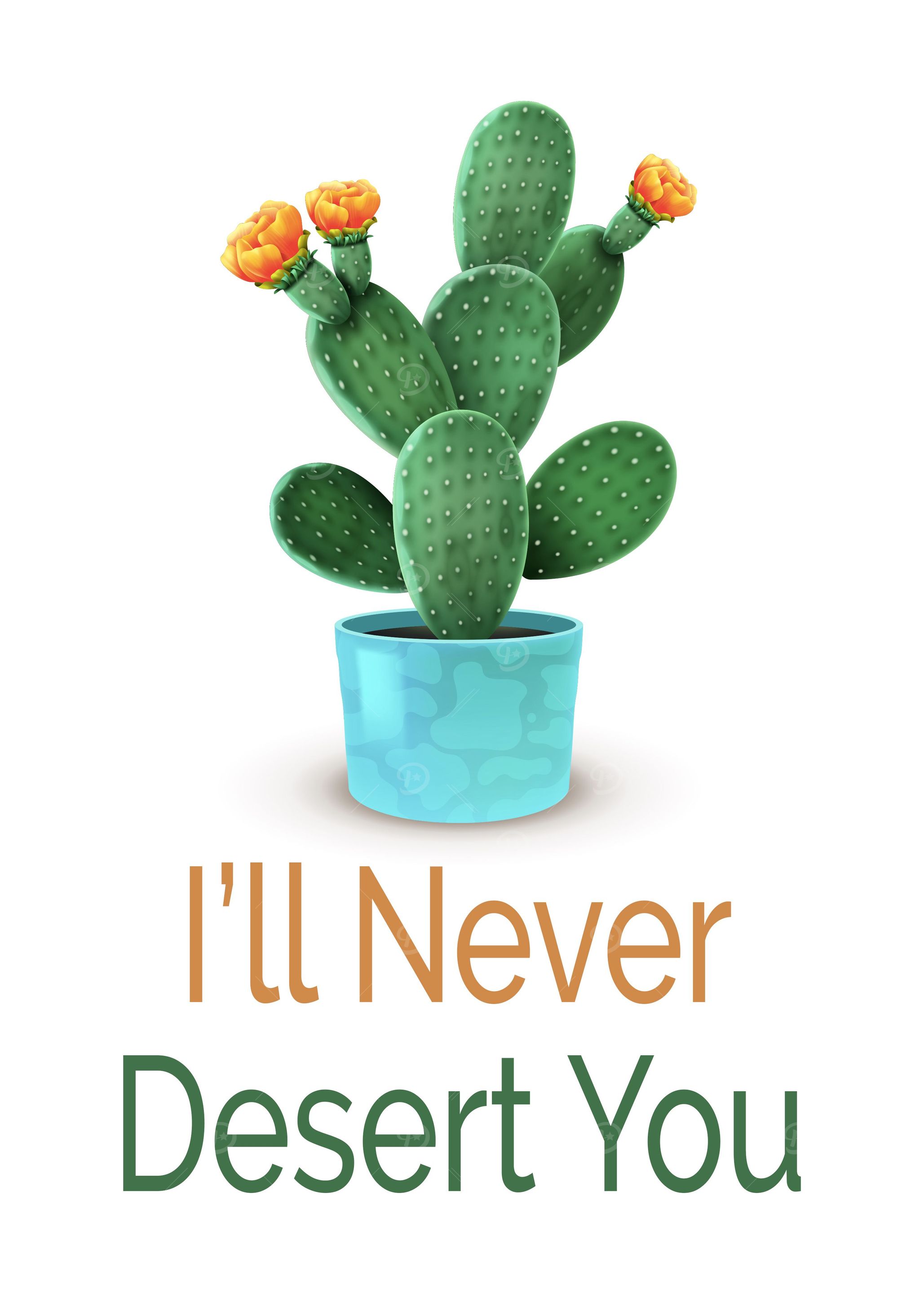 Desert You Cactus