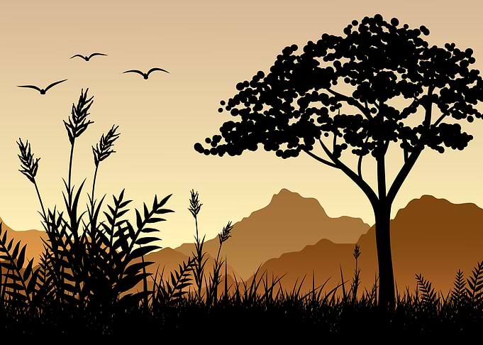 Mountain Landscape