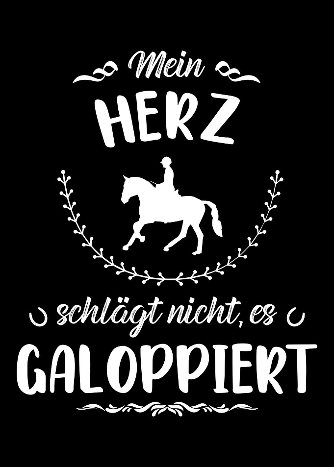 Lustiger Pferd Spruch