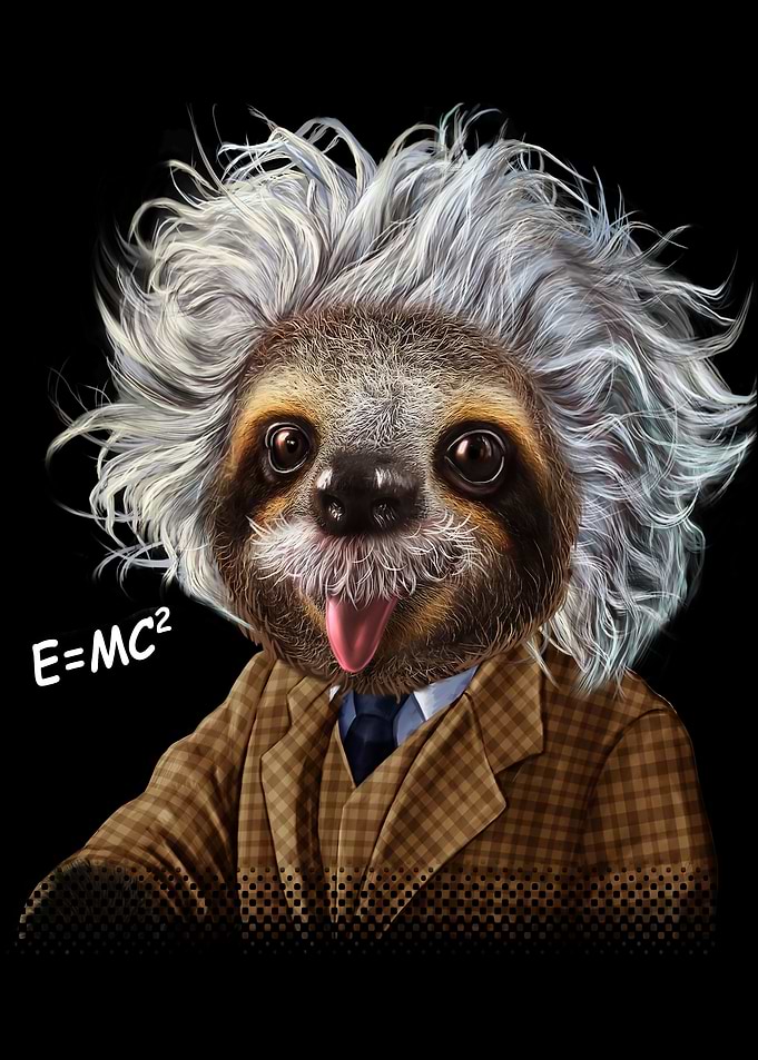 Professor Einstein Sloth