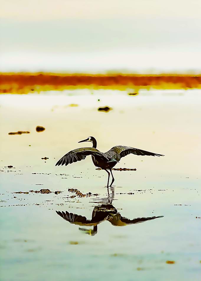 the stork poster