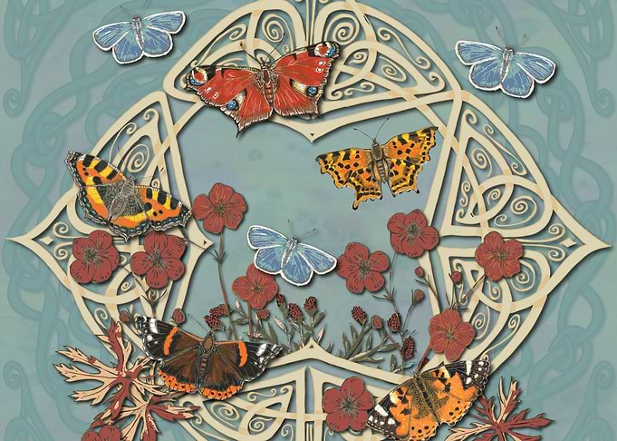 Butterfly Garden