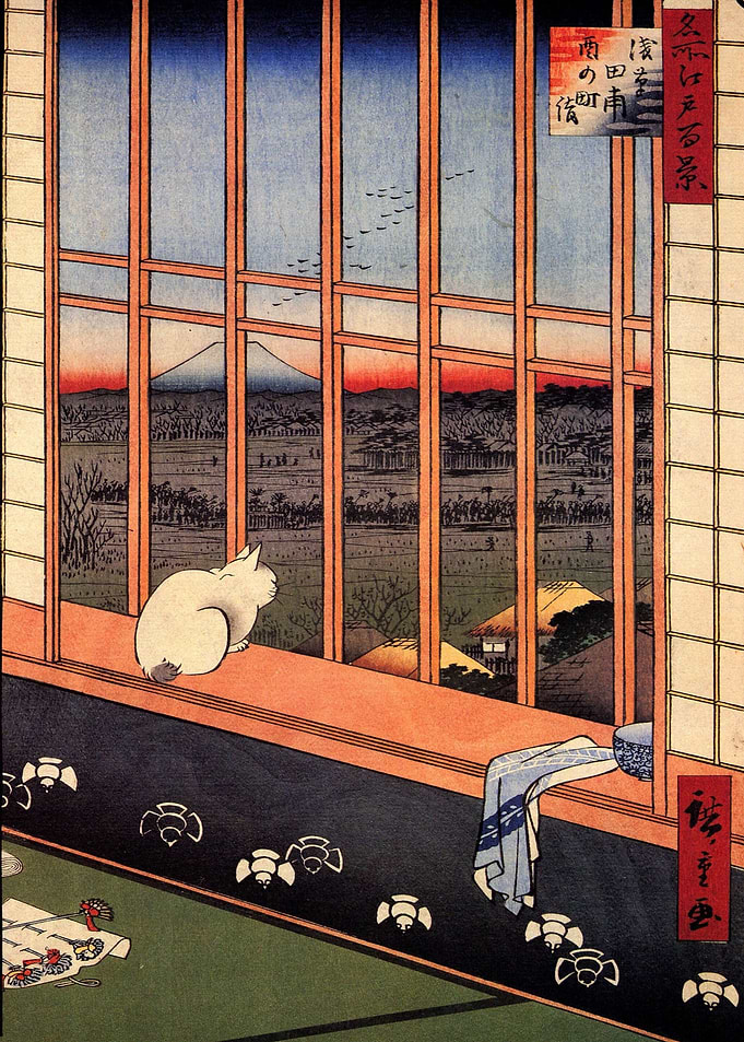 Looking Out Window