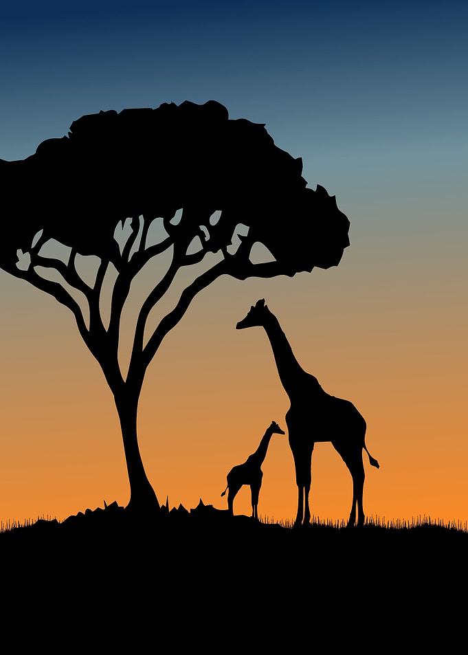 Giraffe African Silhouette