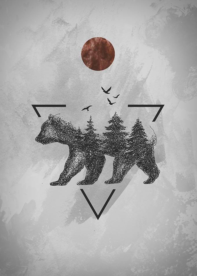 Bear