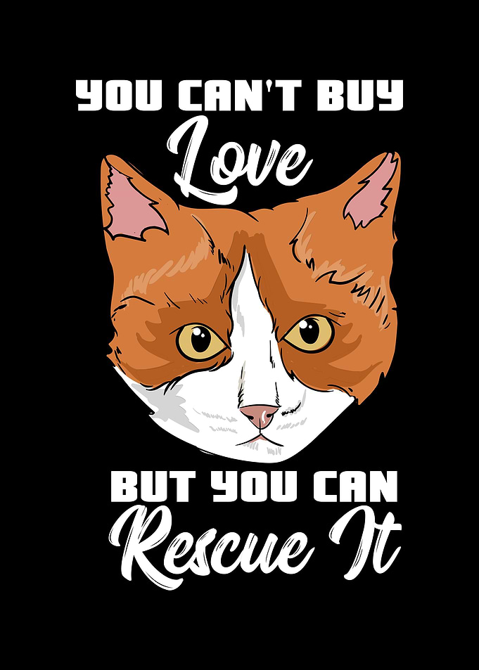 You Cant Buy Love But You