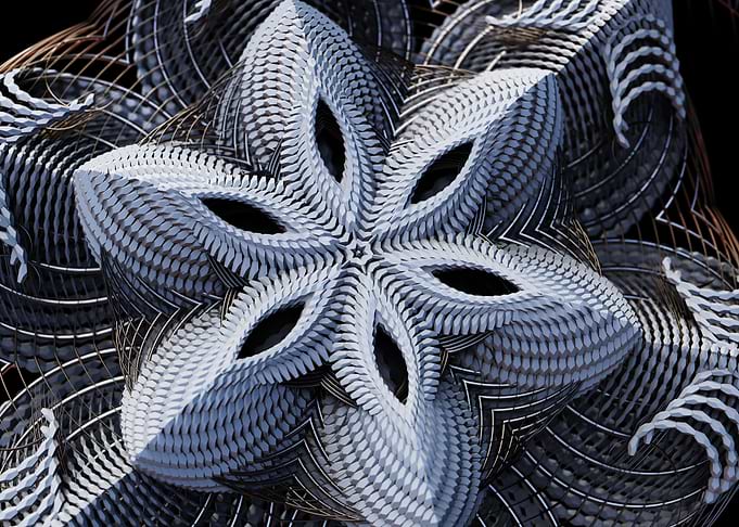 Fractal flower
