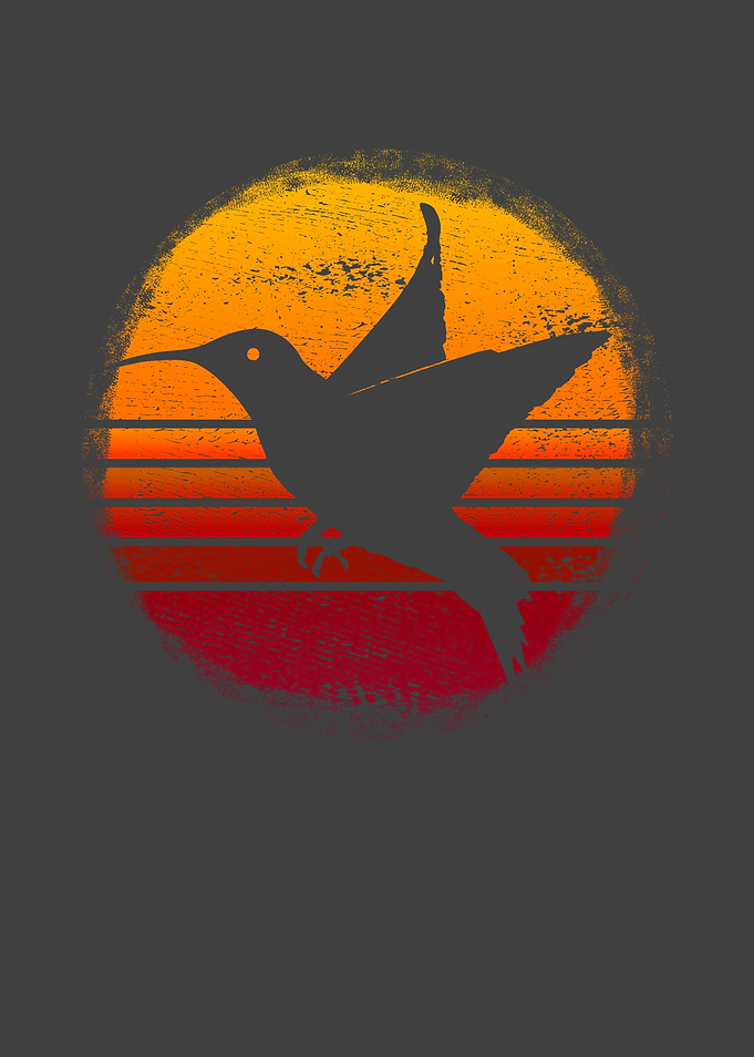 Hummingbird retro gift