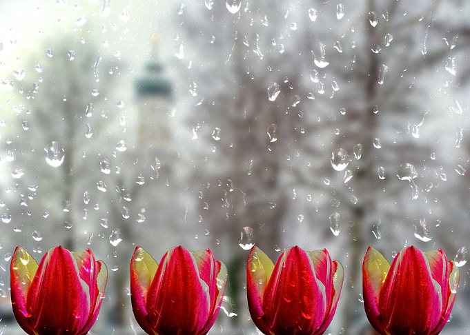 Spring feelings