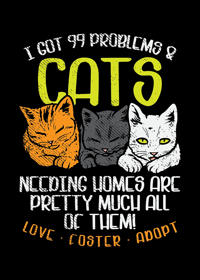 Ive Got 99 Problems