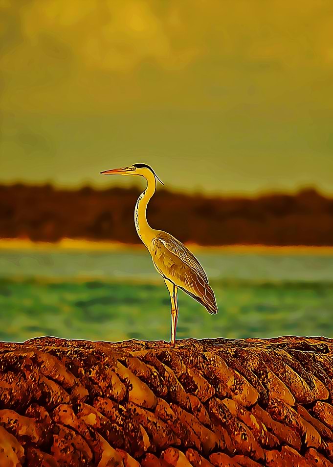 the stork poster