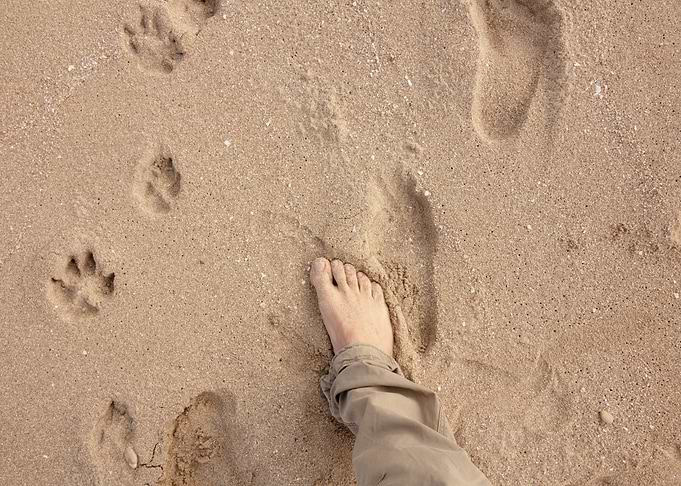 Barefoot sand footprints f