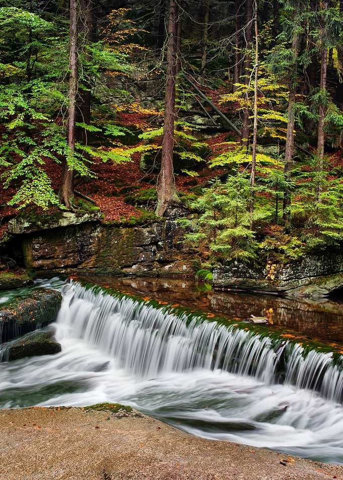 Autumn Forest Waterfall