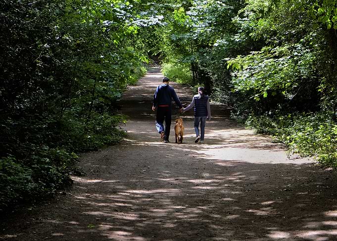 Walk in the Park