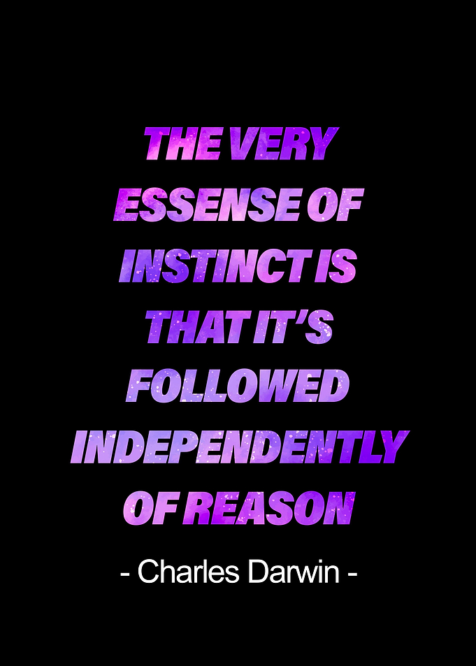 Quote Motivation Art