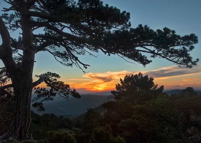 A sunset
