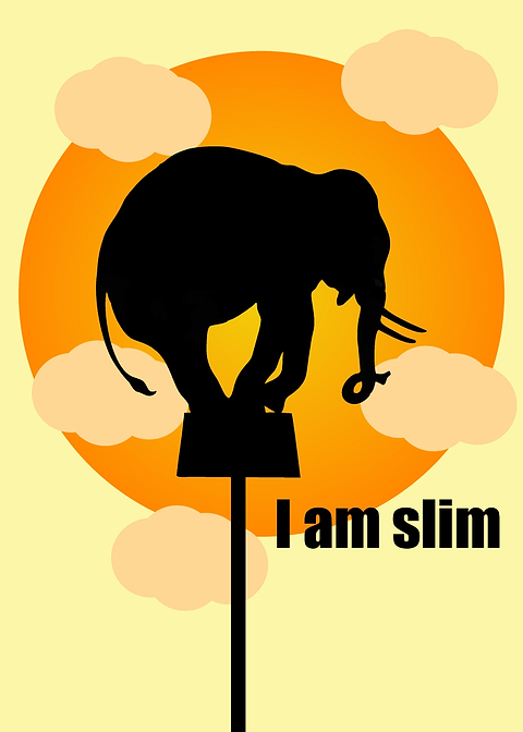 Elephant Circus Silhouette