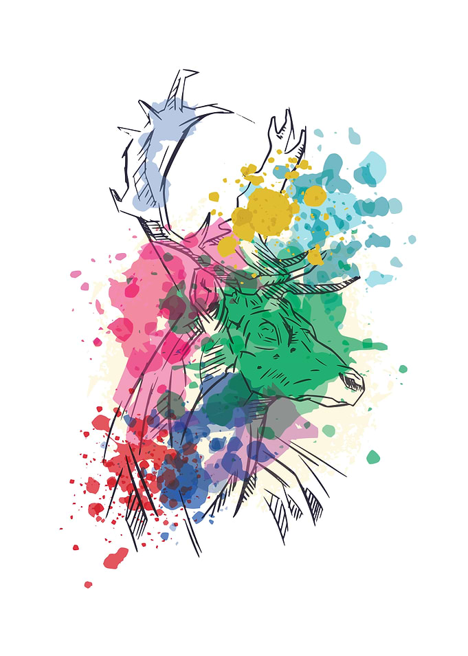 DEER WATERCOLOR