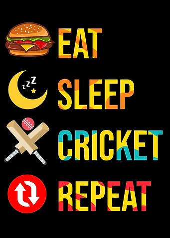 Cricket Poster