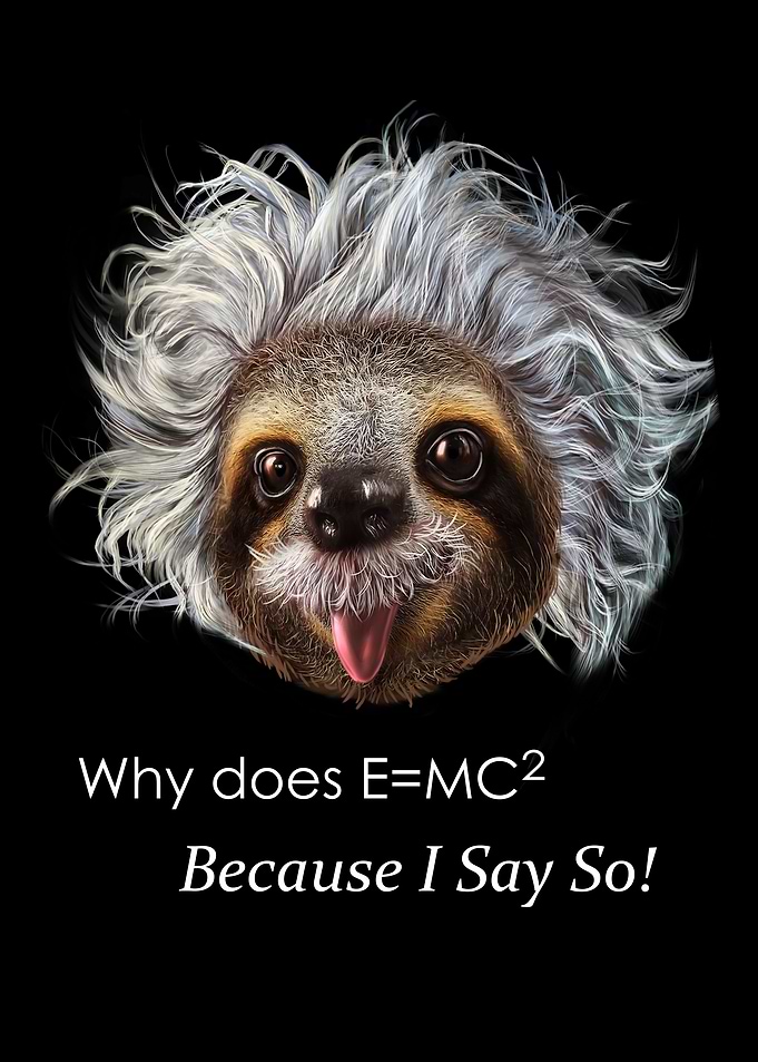 Professor Einstein Sloth