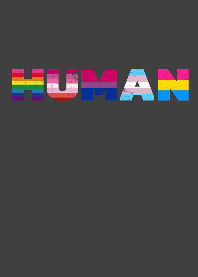 Vintage HUMAN Flag LGBT